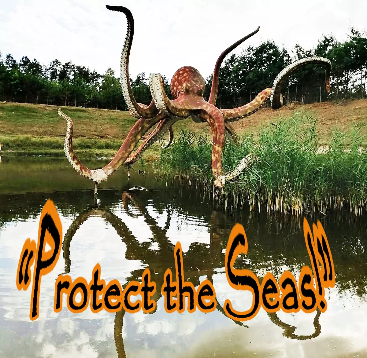 Protect the Seas